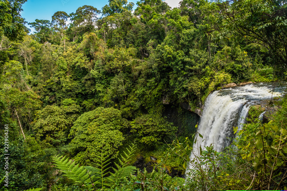 Zillie Falls in the summer in Queensland, Australia Zillie Falls in the summer in Queensland, Australia