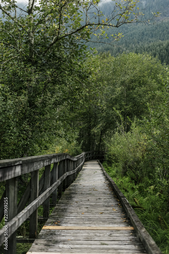 wooden bridge in forest © Maïna Pertolas 