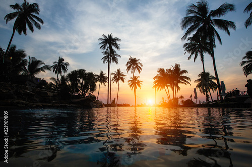 Amazing sunset on coast sea in subtropics with palm silhouettes. © De Visu