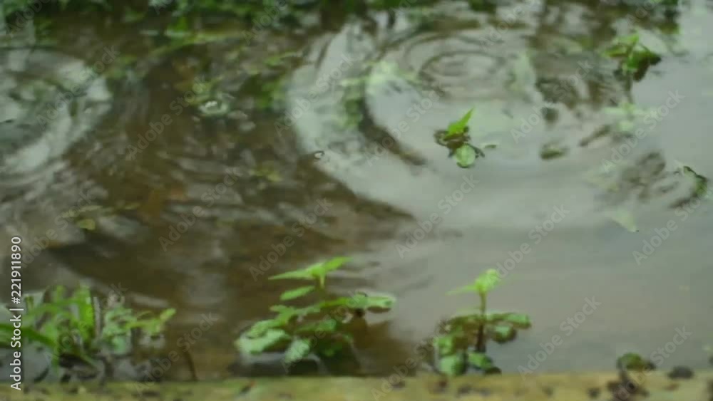 drops of water falling - panning from right to left drops of water falling - panning from right to left