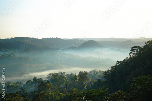 Misty morning in Cianjur Indonesia