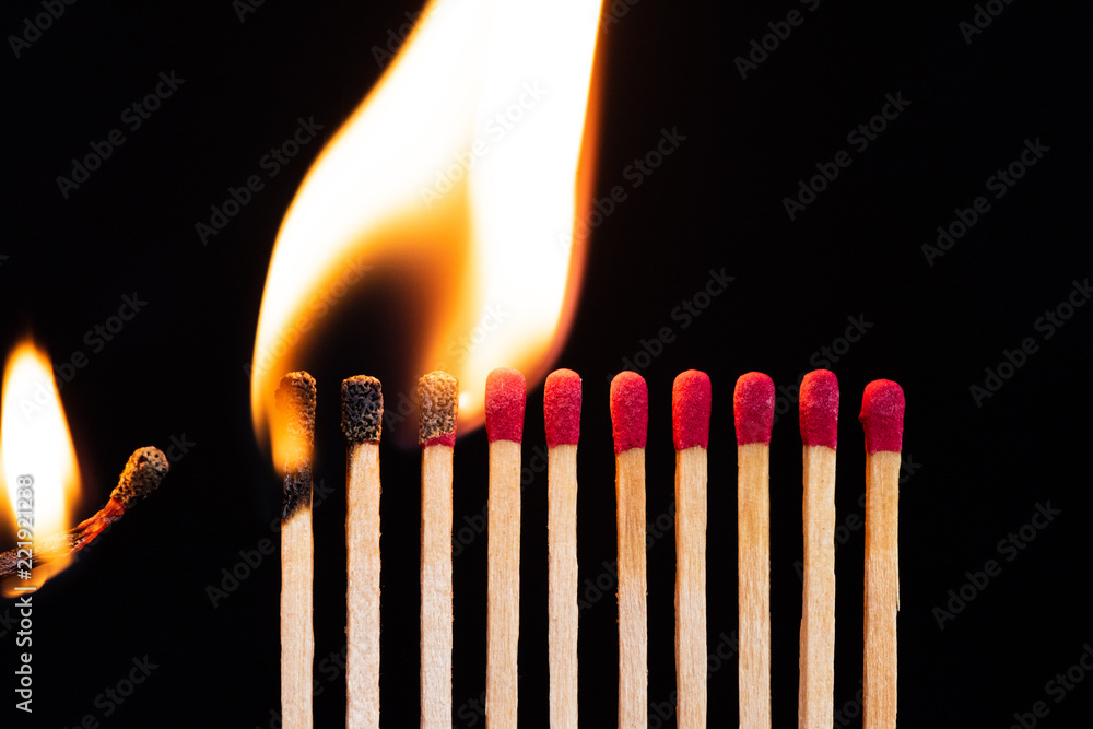 Lit match next to a row of unlit matches. The Passion of One Ignites New Ideas, Change in Others. Lit match next to a row of unlit matches. The Passion of One Ignites New Ideas, Change in Others.