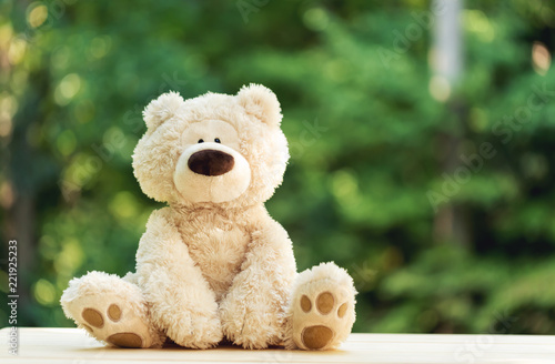A teddy bear on a shiny green forest background