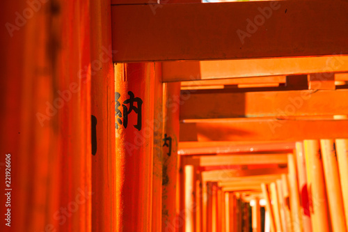 赤い鳥居に書かれた文字