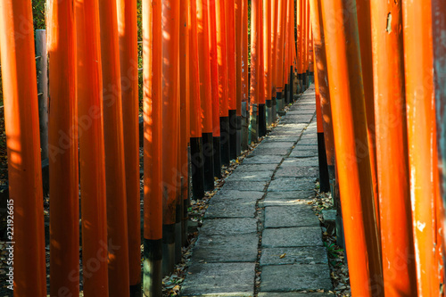 連続する赤い鳥居の小道