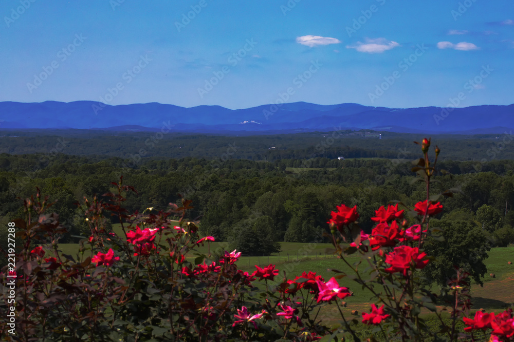 Summer View of Blue Ridge Mountains