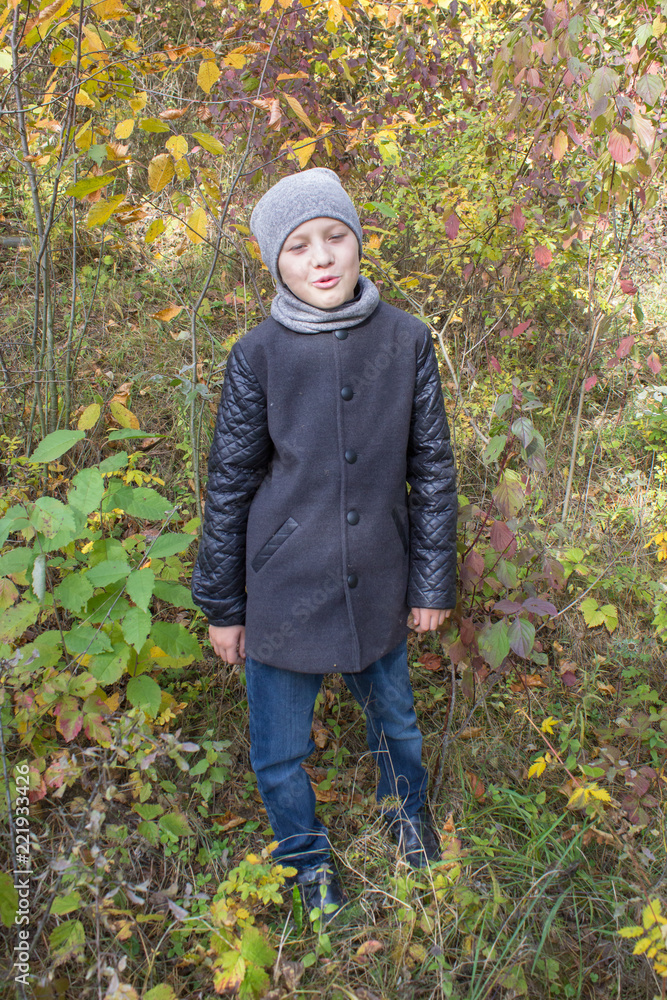 boy in the gray coat of autumn, a little boy was standing in an autumn forest in a gray coat with a collar on his neck boy in the gray coat of autumn, a little boy was standing in an autumn forest in a gray coat with a collar on his neck