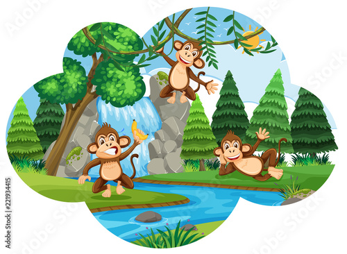 Cheeky monkeys in woods
