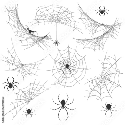Spider with cobweb. Venom spider vector illustration for halloween background graphics, vintage creepy corner spiderweb decoration