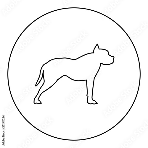 Pit bull terrier icon black color in round circle