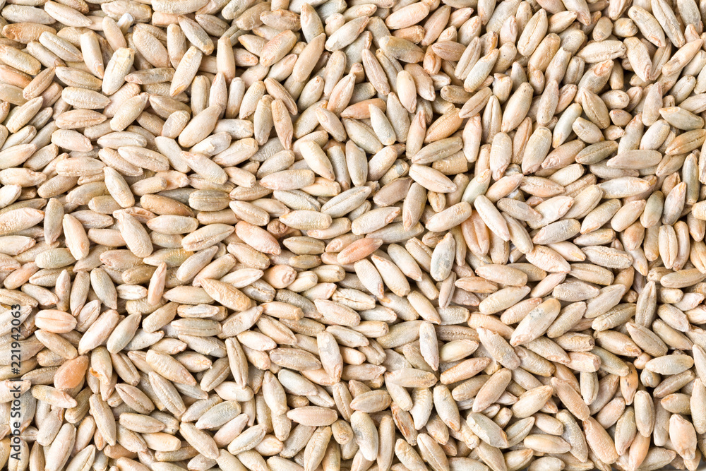 Rye grain seeds close up pattern background. Top view. Studio Shot Rye grain seeds close up pattern background. Top view. Studio Shot