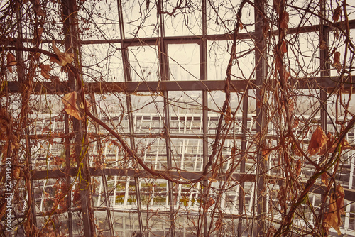 Wallpaper Mural my gallery 6 Torontodigital.ca