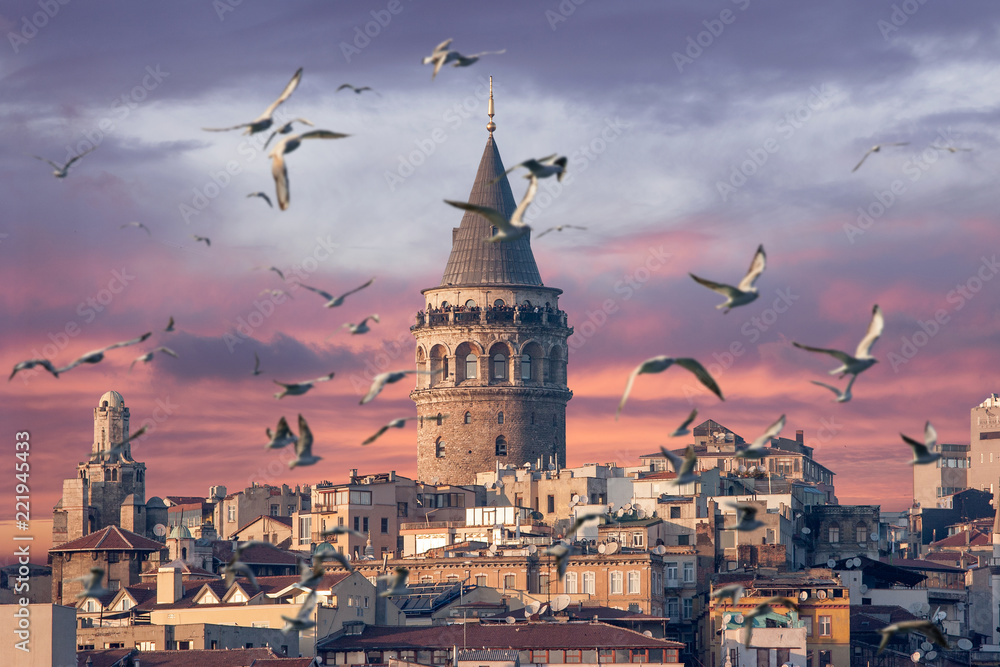 Naklejka premium Wieża Galata w Stambule Turcja z mewami na pierwszym planie