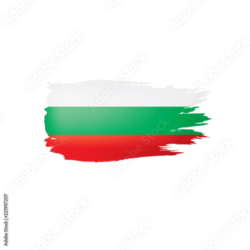 Bulgaria flag  vector illustration on a white background