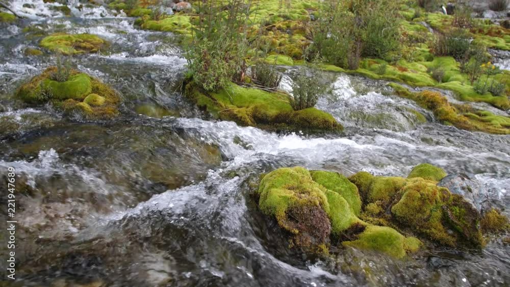 mountain brook among the stones covered with a green moss. transparent, pure current of water flows among a moss. 4k slow motion 60fps. mountain brook among the stones covered with a green moss. transparent, pure current of water flows among a moss. 4k slow motion 60fps.