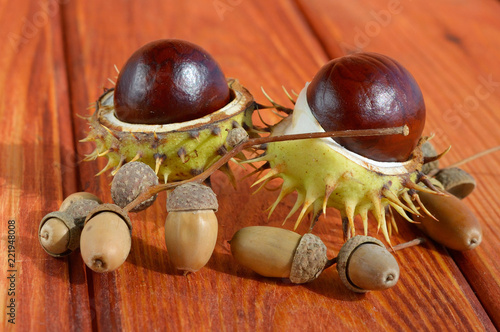 Chestnuts in shell and acorns on wooden background photo