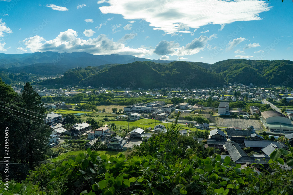 Fototapeta premium 高台から見た田舎の風景