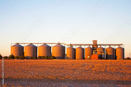 Schilderij op canvas Grain storage silos in early morning light