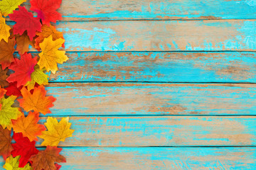 Beautiful autumn maple leaves background. nature fall season