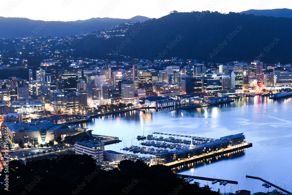 Fototapeta premium Wellington City CBD Aerial View 
