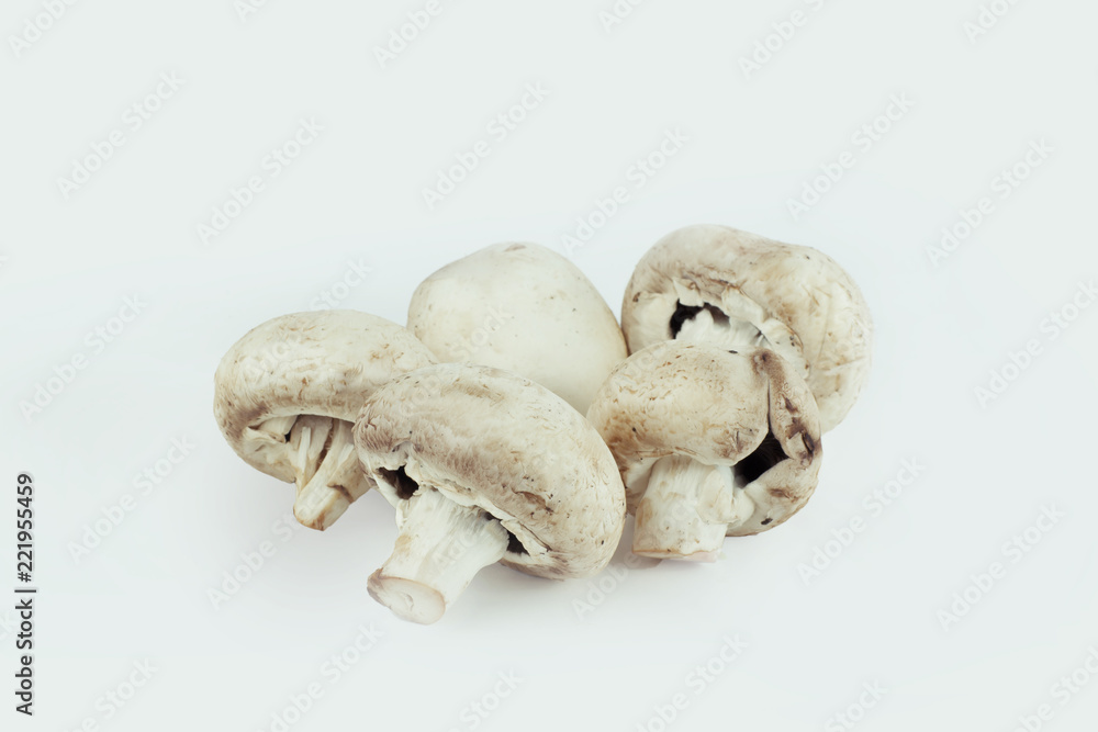 fresh mushrooms.isolated on a white background. fresh mushrooms.isolated on a white background.