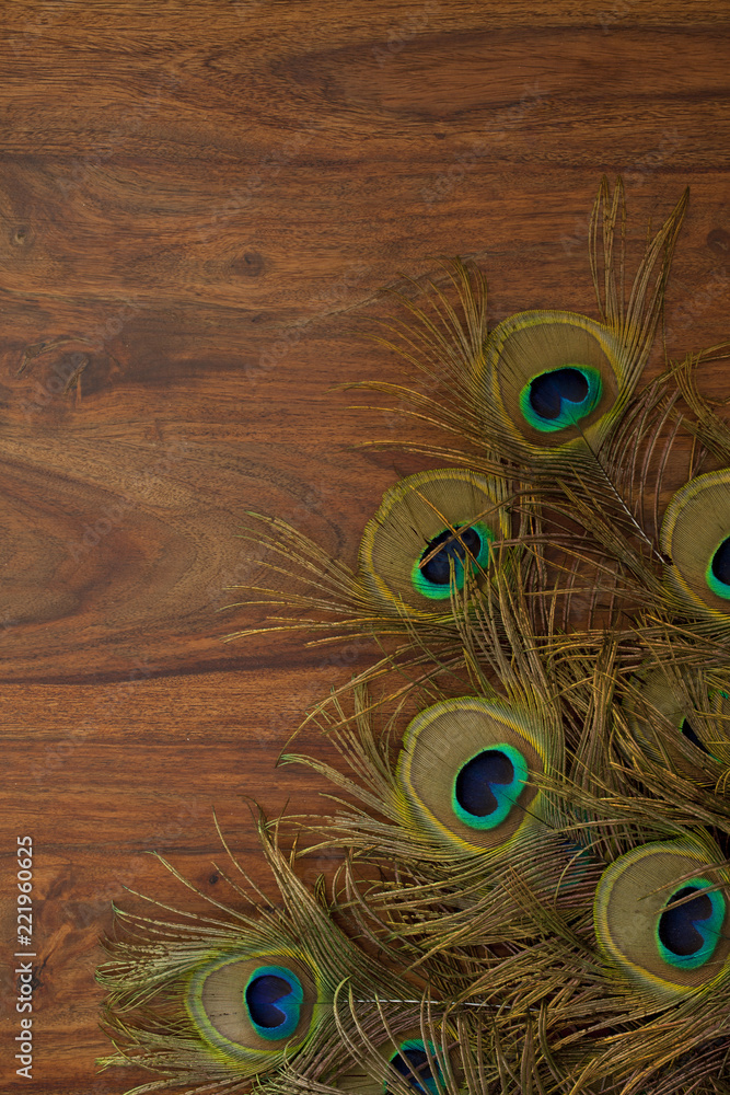 Fototapeta premium peacock feathers background