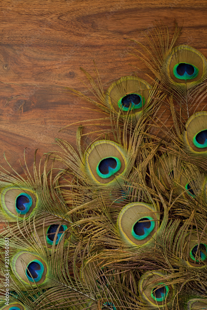 Fototapeta premium peacock feathers background