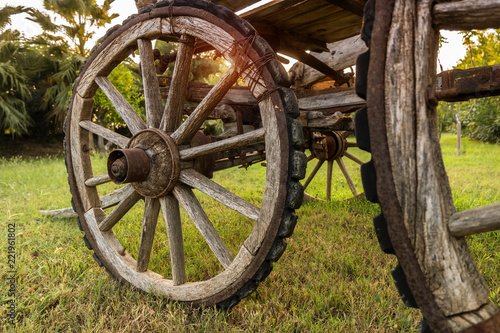 Wheel of a vintage cart at sunset.