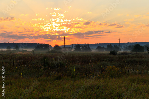 Beautiful sunrise over a green foggy meadow