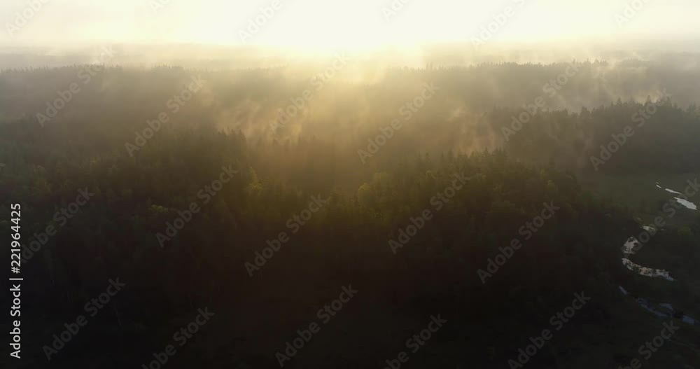 Aerial cinematic view of mist rising from forest trees in wilderness during summer sunrise. Drone descending down above tree lines filming towards yellow sun. Nuuksio. Espoo. Finland. Scandinavia. Aerial cinematic view of mist rising from forest trees in wilderness during summer sunrise. Drone descending down above tree lines filming towards yellow sun. Nuuksio. Espoo. Finland. Scandinavia.