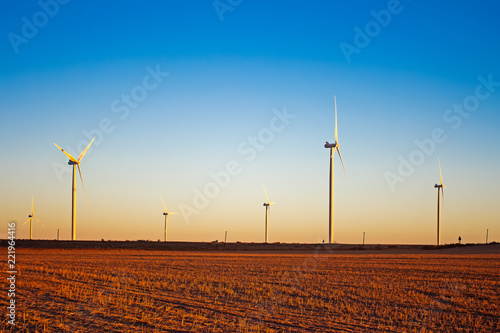 Wind turbines in late afternoon light