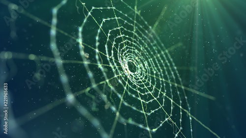 Cuadro en lienzo Spider Web in the Khaki Background