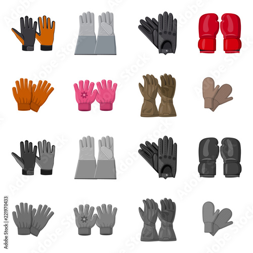 Vector design of glove and winter sign. Set of glove and equipment stock symbol for web.