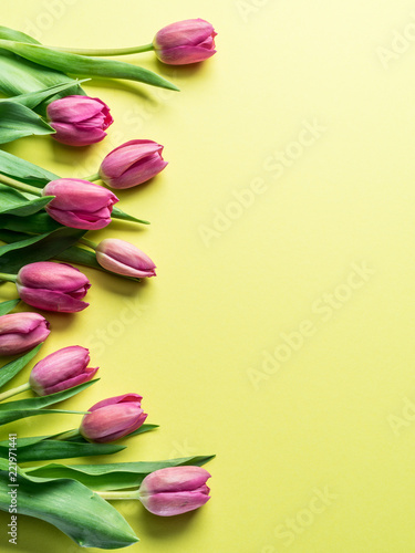 Fototapeta Naklejka Na Ścianę i Meble -  Delicate fresh tulips on yellow background.