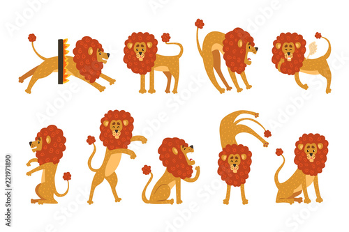 Fototapeta Naklejka Na Ścianę i Meble -  Set of funny African lion in different actions. Cartoon wild animal character. Zoo theme. Flat vector design for children s book, t-shirt print or sticker