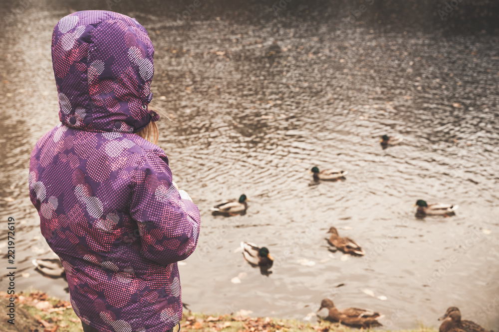 Fototapeta premium Girl in warm clothes feeds ducks on a pond