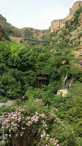 the wonderful canyon and forest of ain fezza by spring with the nice and historical gustave eiffel bridge  photo