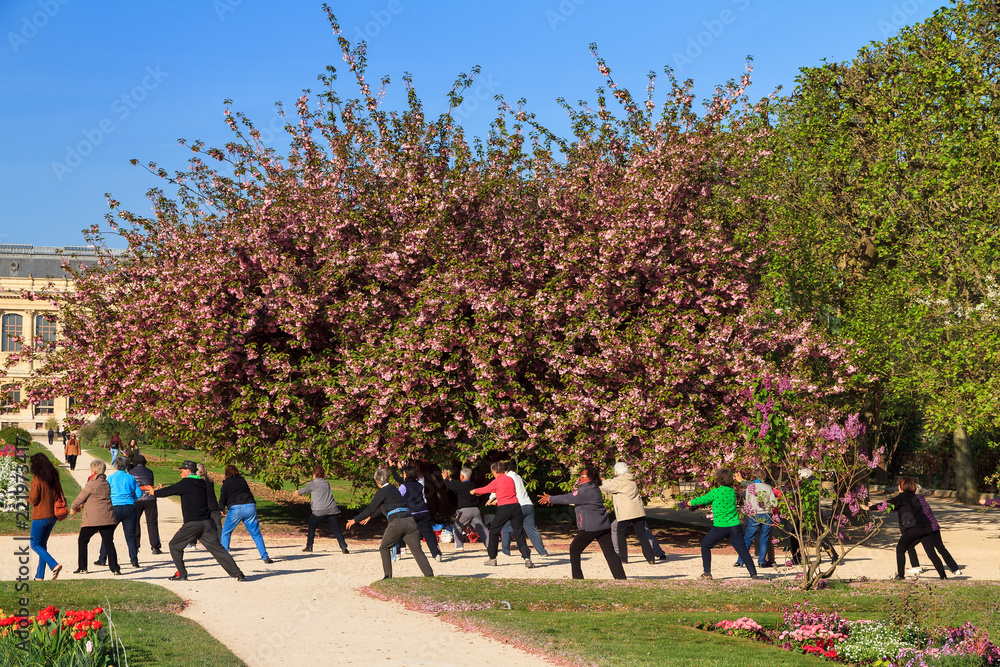 Group of active elderly people doing exercises in the park in spring in Paris, France, on April 9, 2014
Group of active elderly people doing exercises in the park in spring in Paris, France, on April 9, 2014