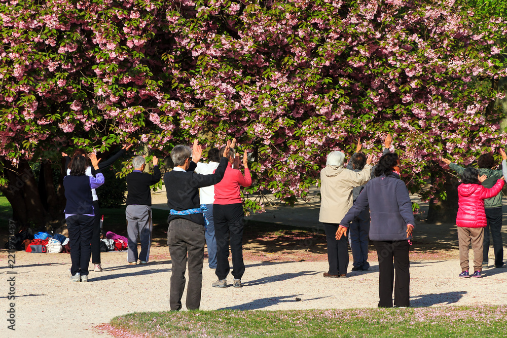 Obraz premium Group of active elderly people doing exercises in the park in spring in Paris, France, on April 9, 2014 