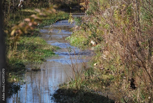 Flowing River Landscape