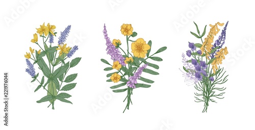 Collection of bouquets of beautiful wild meadow flowers and flowering herbs. Set of bunches of wildflowers isolated on white background. Elegant floral vector illustration in realistic style.