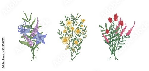 Bundle of bouquets of gorgeous meadow flowers and herbaceous plants. Set of bunches of blooming herbs isolated on white background. Romantic floral hand drawn vector illustration in realistic style. © Good Studio