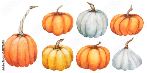 Pumpkin set collections. Watercolor Hand painted pumpkins for halloween and Fall on white background. Autumn harvest. Vegetarian raw food