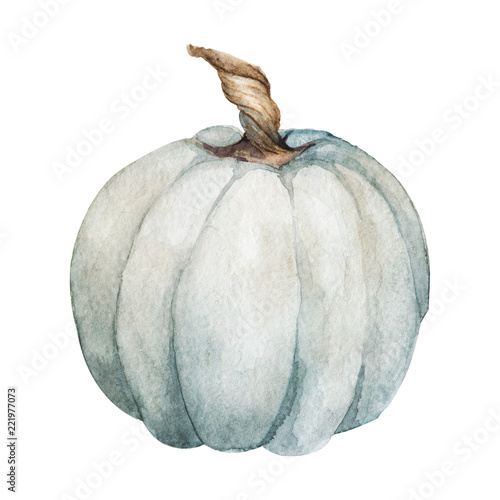 Pumpkin. Watercolor Hand painted pumpkin for halloween and Fall on white background. Autumn harvest. Vegetarian raw food
