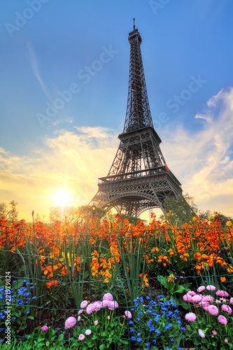 Beautiful spring sunset view of the Eiffel tower with flowers in the park in Paris, France © dennisvdwater