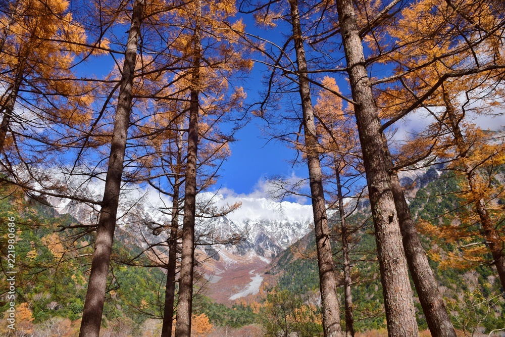 Kamikoch / Nagano  ~  Autumn colors