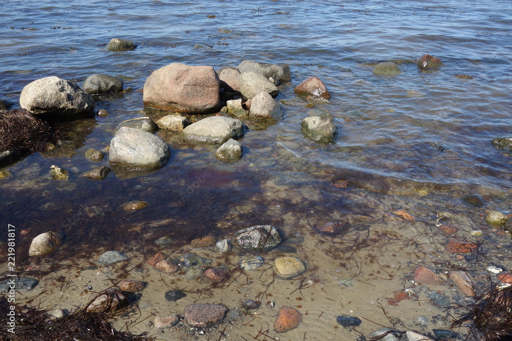 Fototapeta premium Steine in der Ostsee