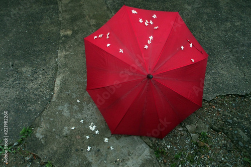 赤い傘に白い花落下