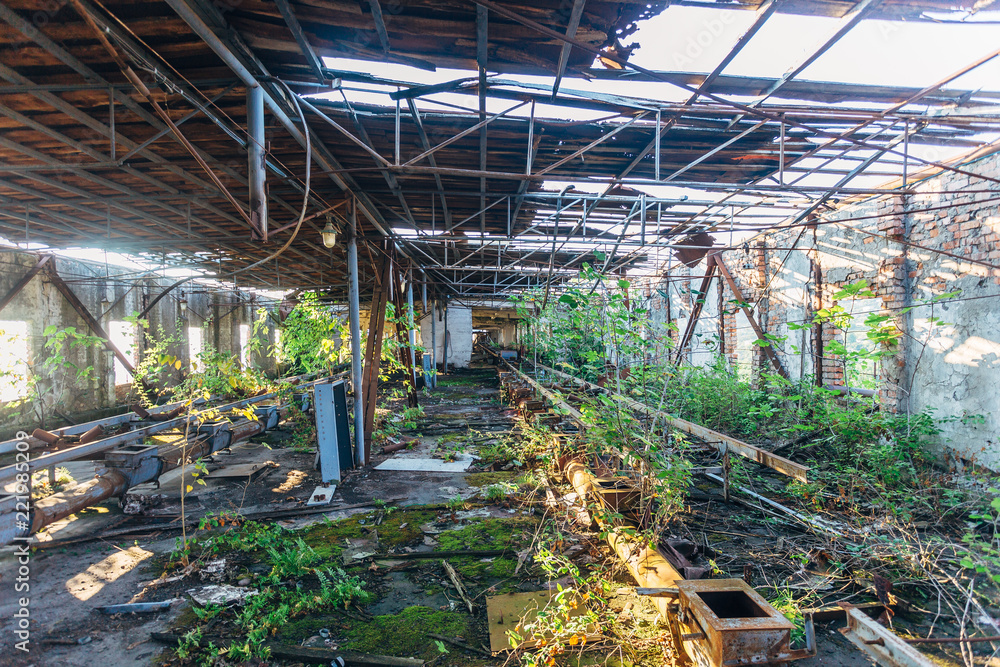 Old overgrown abandoned ruined industrial building