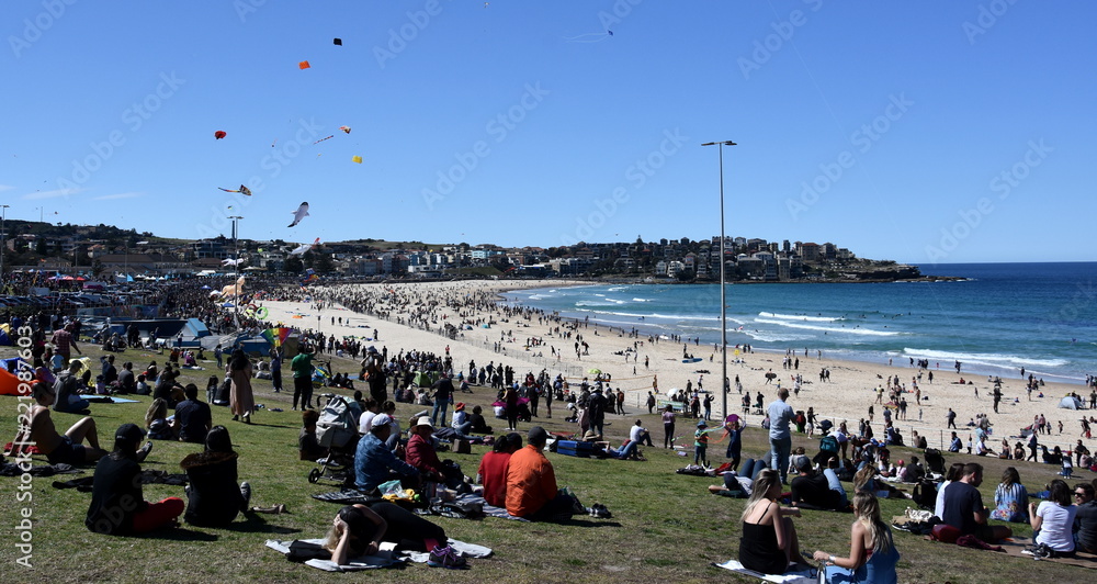Kite flyers and tourists attend the annual free outdoor kite flying festival at Bondi Beach, Sydney. Festival of the Winds.